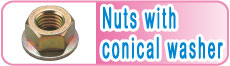 Nuts with conical washer