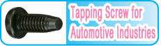 Tapping Screw for Automotive Industries
